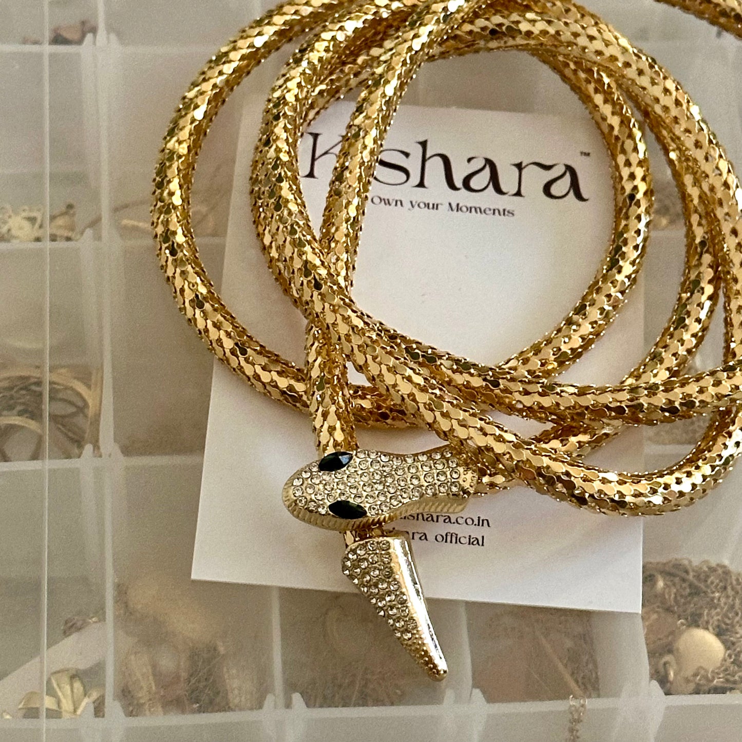 MOST VIRAL SNAKE CHAIN / CHOKER /BRACELET