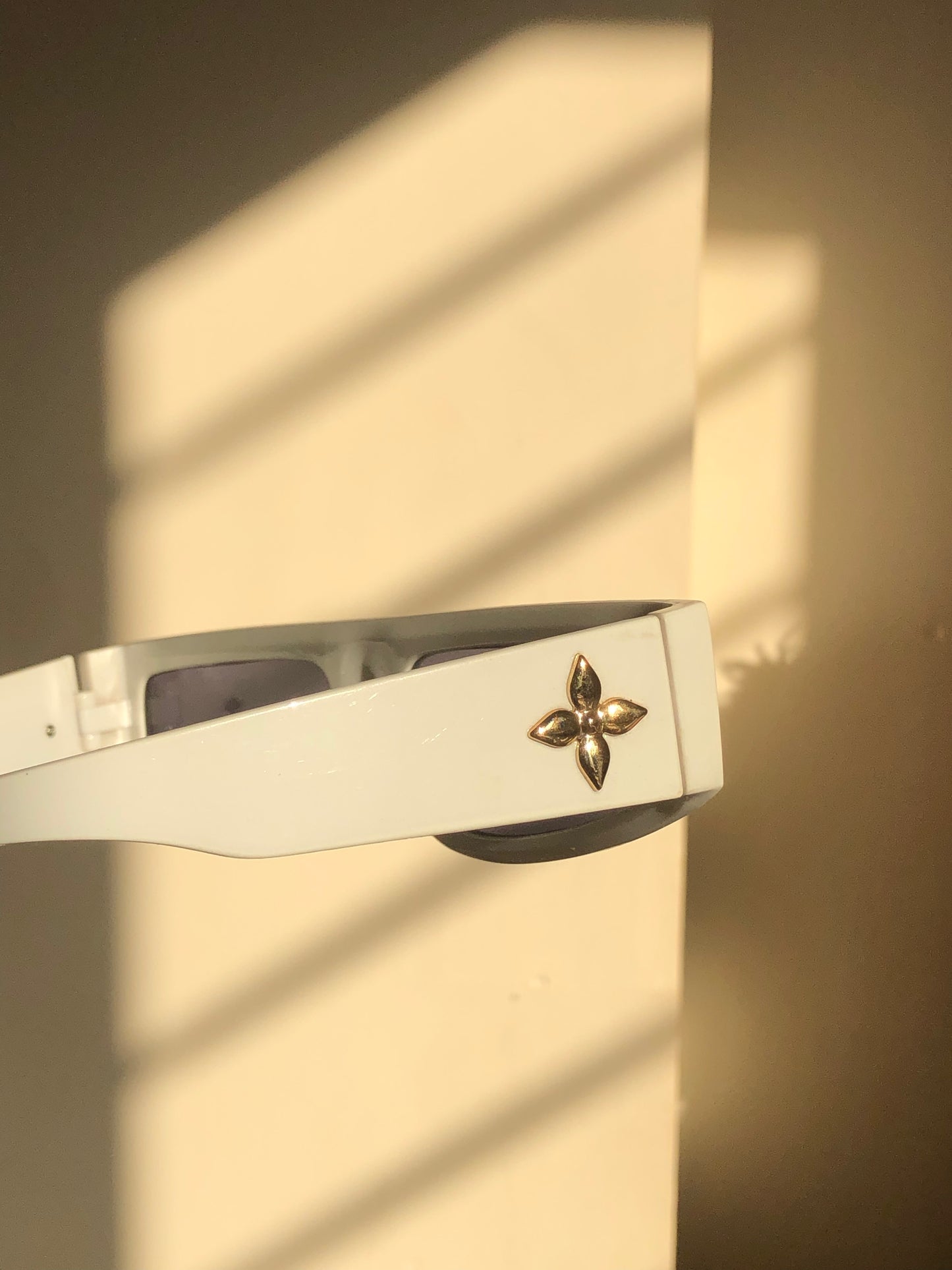 Stanny Sunglasses