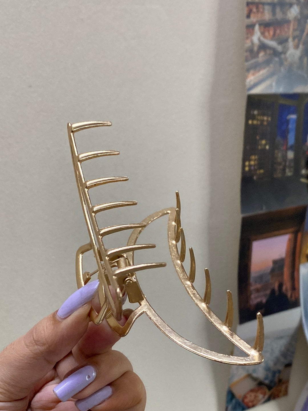 Claw clips