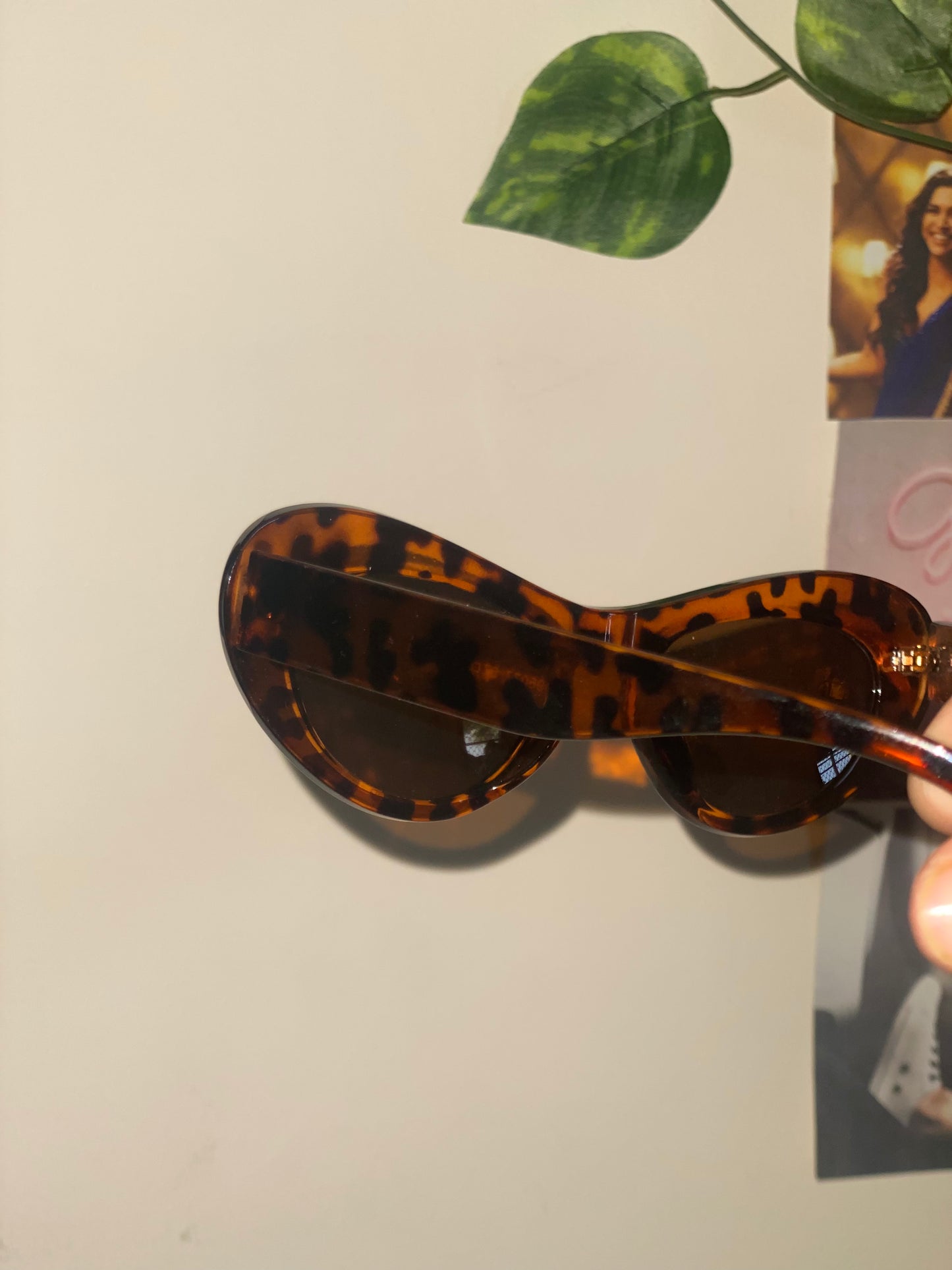 Cat Eye bold shades